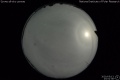 2020/5/13 23:51’38”
