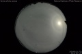 2020/5/13 23:52’08”