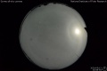 2020/5/13 23:58’54”