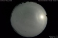 2020/5/14 00:00’24”