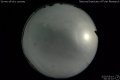 2020/5/14 00:10’10”