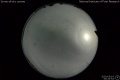2020/5/14 00:10’54”