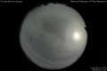 2020/5/14 00:40’10”