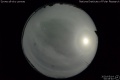 2020/5/14 00:45’40”