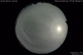 2020/5/14 00:52’10”