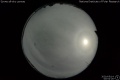 2020/5/14 00:52’26”