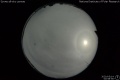 2020/5/14 00:58’56”