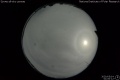 2020/5/14 01:00’12”