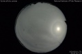 2020/5/14 01:00’26”
