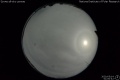 2020/5/14 01:00’42”
