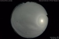2020/5/14 01:00’56”