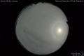 2020/5/14 01:06’26”