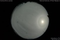 2020/5/14 01:07’26”