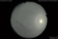 2020/5/14 01:08’42”