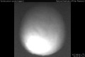 2017/8/6 01:00&rsquo;00&rdquo;