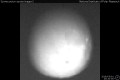 2018/5/1 20:10&rsquo;00&rdquo;