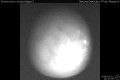 2018/5/31 21:00&rsquo;06&rdquo;