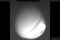 2019/3/21 21:10&rsquo;00&rdquo;