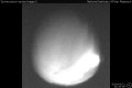 2019/3/21 21:20&rsquo;00&rdquo;