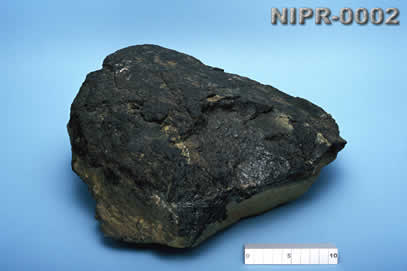 NIPR-0002