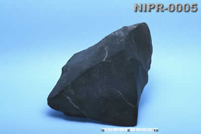NIPR-0005