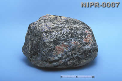 NIPR-0007