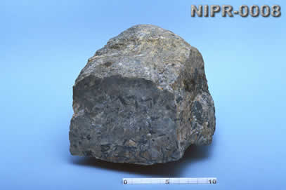 NIPR-0008