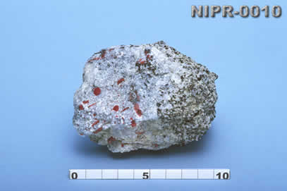 NIPR-0010