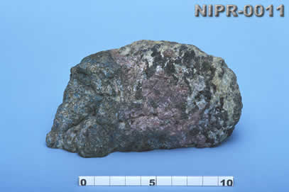 NIPR-0011