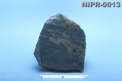 NIPR-0013