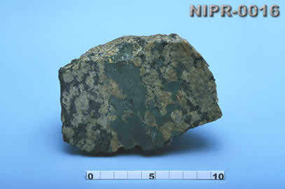 NIPR-0016