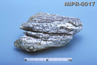 NIPR-0017