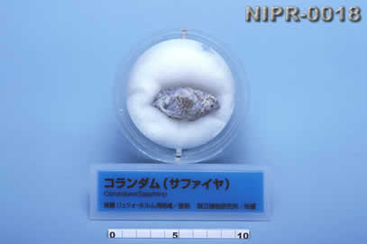 NIPR-0018