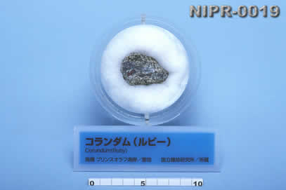 NIPR-0019
