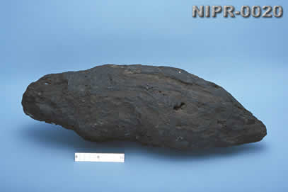 NIPR-0020