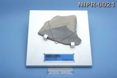 NIPR-0021