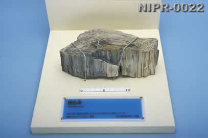 NIPR-0022