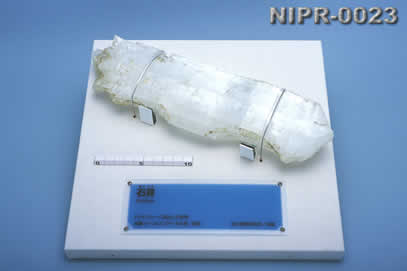 NIPR-0023