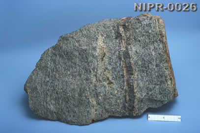 NIPR-0026