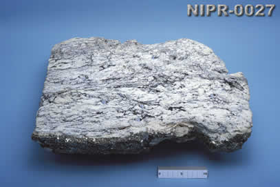 NIPR-0027
