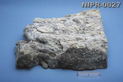 NIPR-0027
