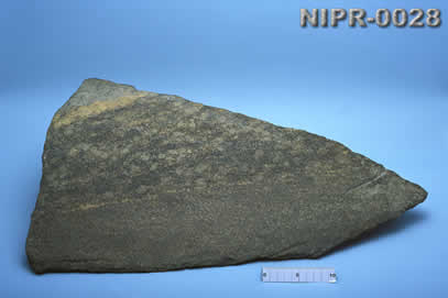 NIPR-0028