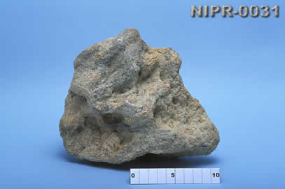 NIPR-0031