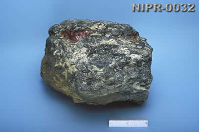 NIPR-0032