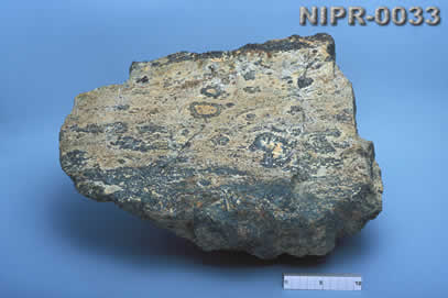 NIPR-0033