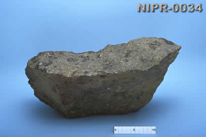 NIPR-0034
