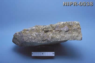 NIPR-0038