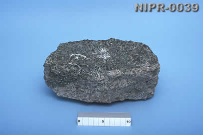 NIPR-0039