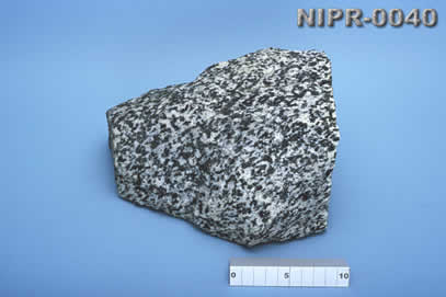 NIPR-0040