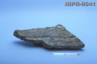 NIPR-0041